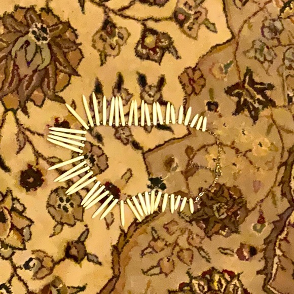 Authentic bone necklace